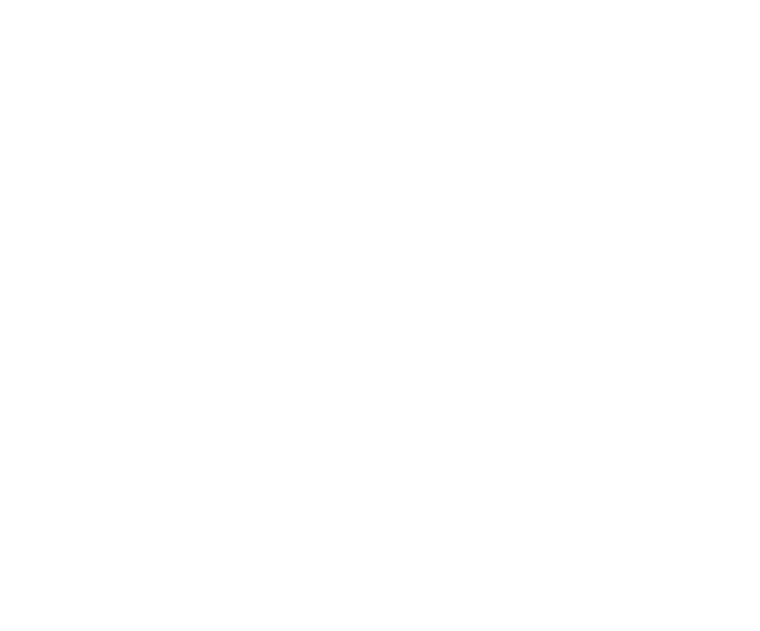 IrenPos